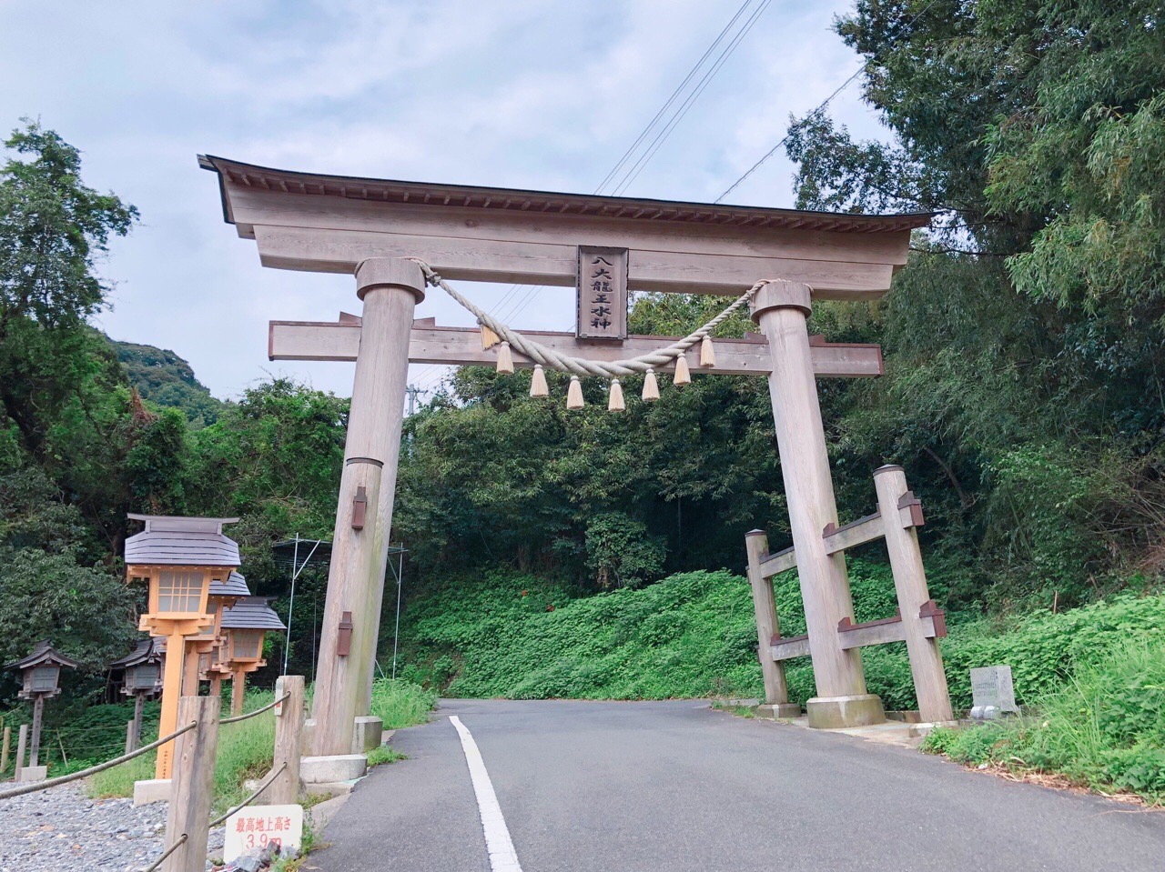 圧巻の御神木のある水神様 八大龍王水神社 高千穂 九州 旅行 観光情報なら 九州旅行ナビ